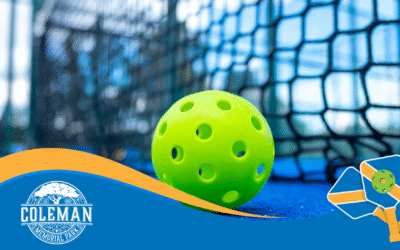 2026 Pickleball Tournament Rematch
