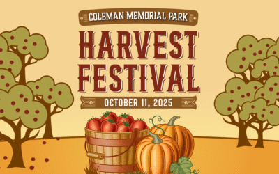 2025 Harvest Festival