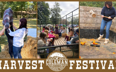 2026 Harvest Festival