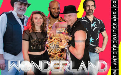 🎸 Summer Concert Series 🎸 Wonderland